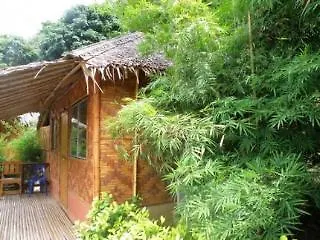 Hotel Phi Phi Banana Resort
